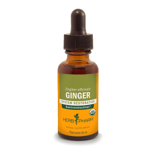 GINGER 1 fl oz