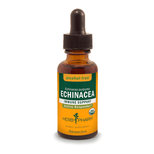 ECHINACEA ALCOHOL FREE 1 fl oz