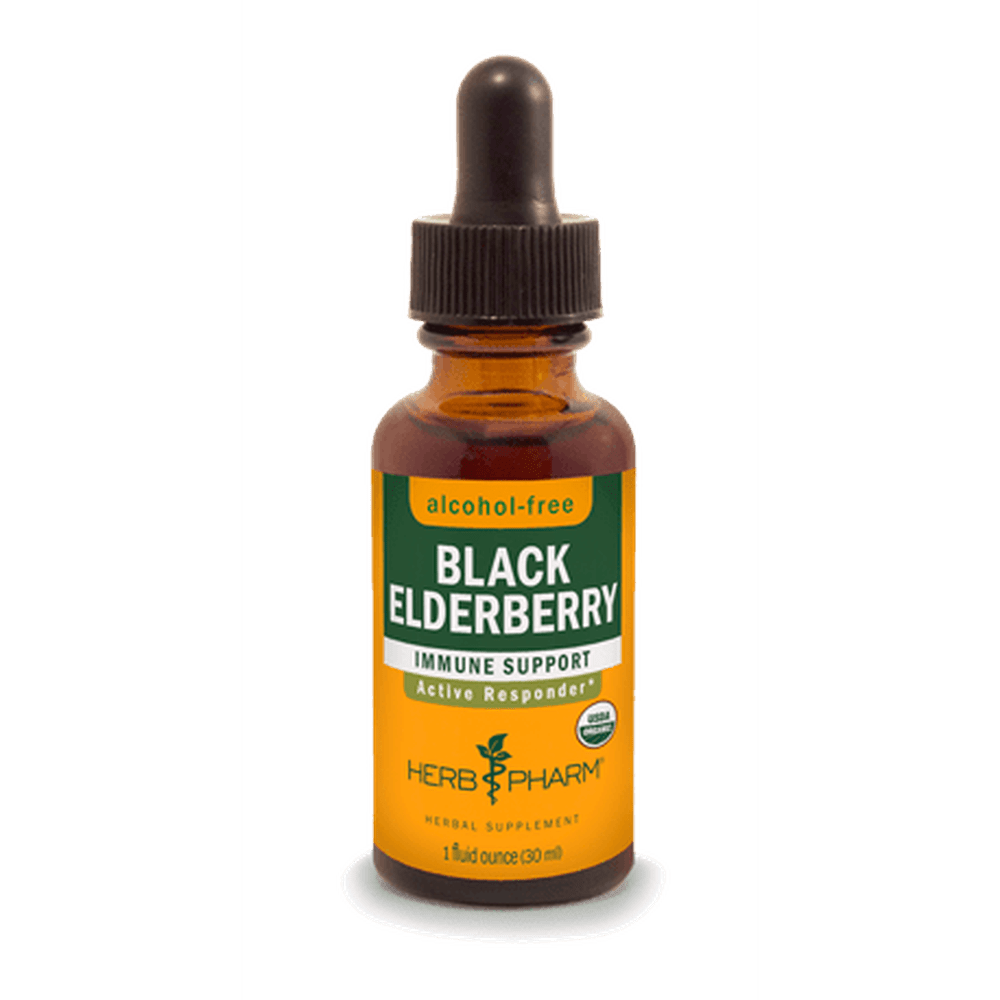 BLACK ELDERBERRY ALCOHOL FREE 1 fl oz