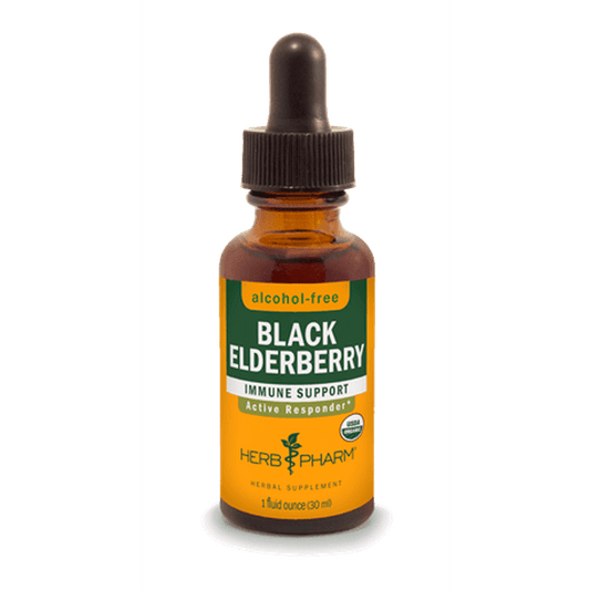 BLACK ELDERBERRY ALCOHOL FREE 1 fl oz